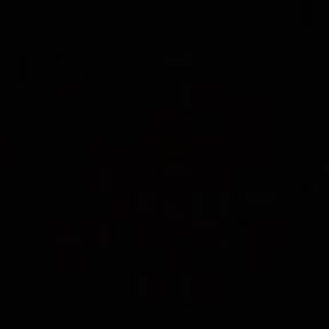 Meet your Posher, Miriam